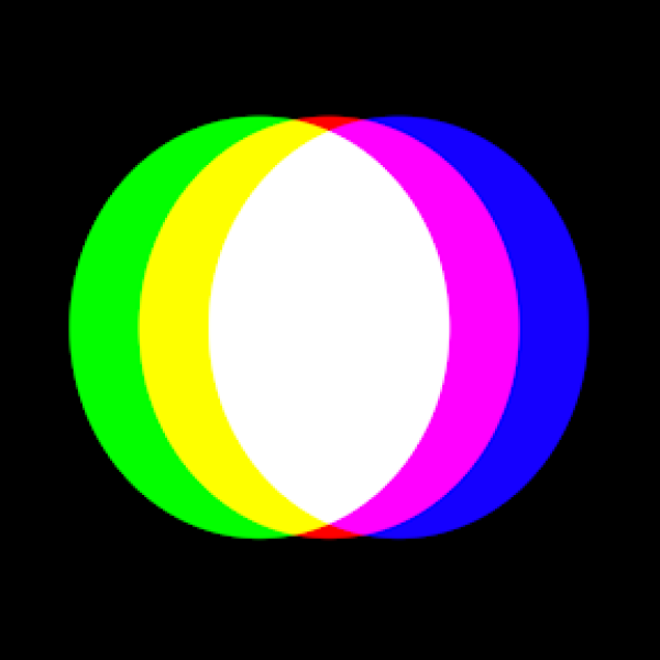 Profile picture for user wanky
